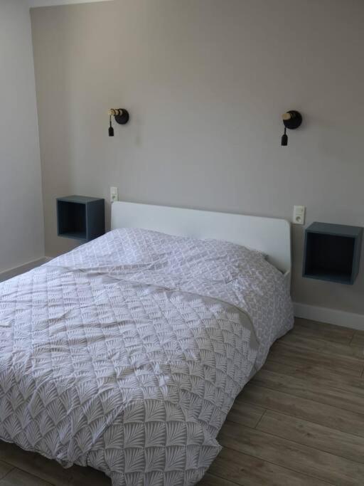 Spacieux Appartement Au Pied De La Cite Medievale 卡尔卡松 外观 照片